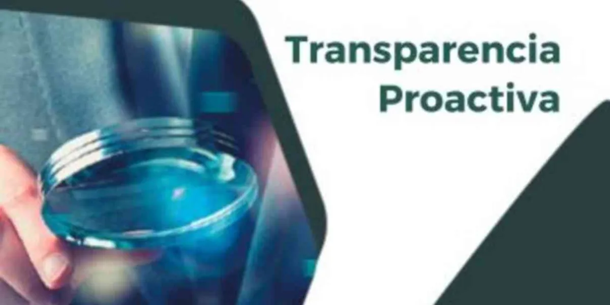 Transparencia proactiva