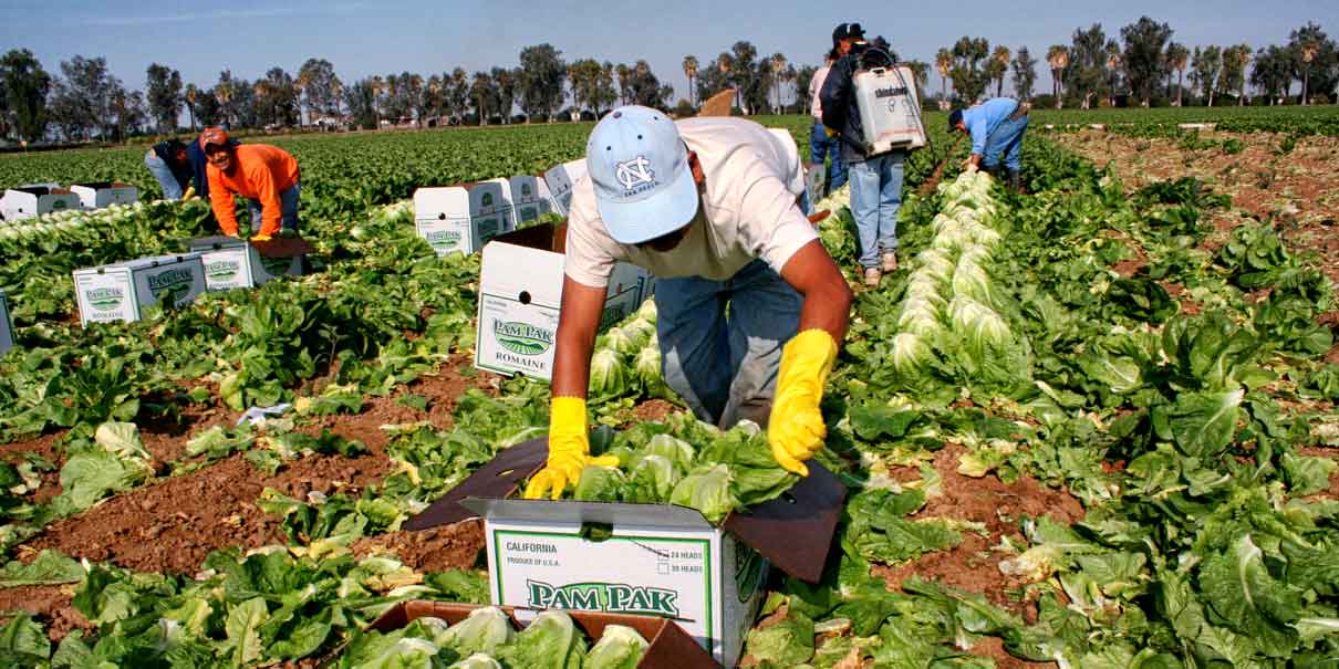Sectores estratégicos de EE.UU. ya resienten la escasez de trabajadores mexicanos