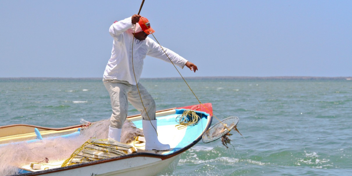 Gobierno de México respalda a pescadores afectados por derrame en el Golfo de México