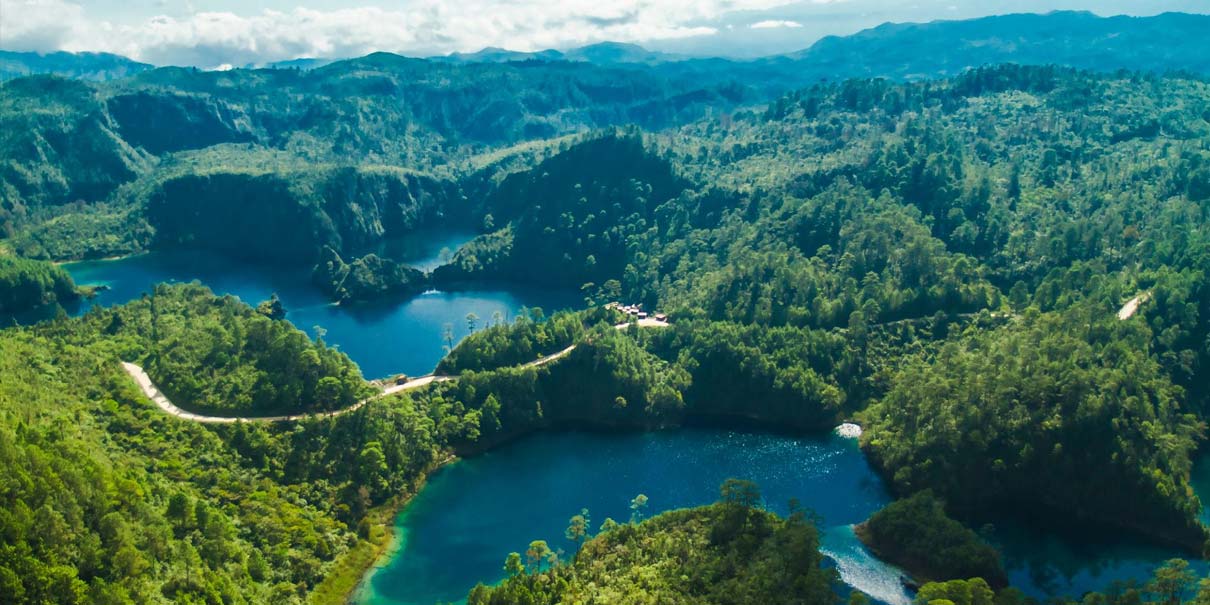 Centro Ecoturístico Las Guacamayas, Chiapas: el paraíso de la guacamaya roja en la Selva Lacandona