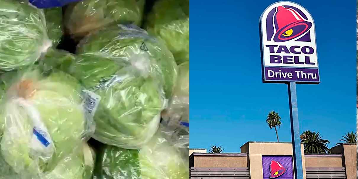 EU vincula brote de ciclosporiasis con lechuga mexicana: Taco Bell retira el producto