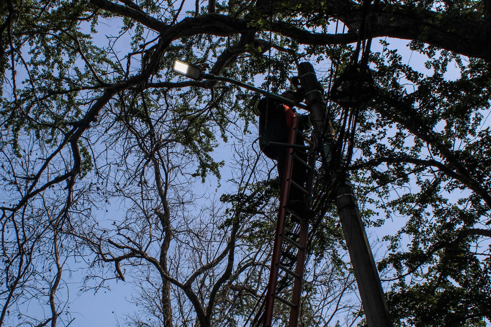 Cuernavaca rehabilitó al 100% el alumbrado público de la avenida Palmira mediante el programa Iluminando Cuernavaca, con trabajos de mantenimiento e instalación de luminarias.
