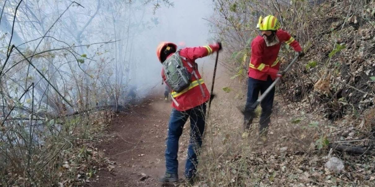 Cuernavaca registra incendios de mayor magnitud en 2026: Bomberos alertan por sequía y efecto lupa