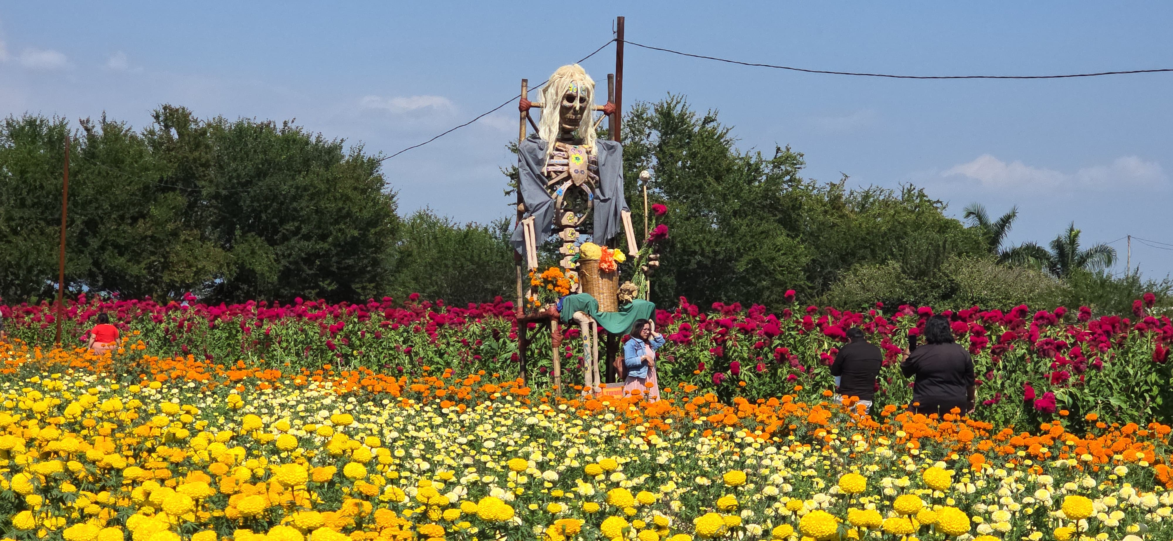 El Festival Cempatzongo Amayuca 2026 abrió su Concurso de Catrinas Monumentales, con premios de hasta 20 mil pesos y piezas de hasta cinco metros.