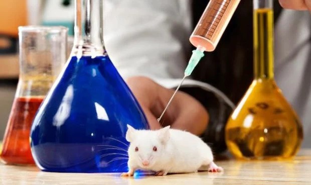experimentos