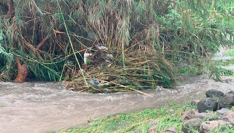 Familias de Los Reyes Tlachica pierden bienes por inundación en Tepalcingo