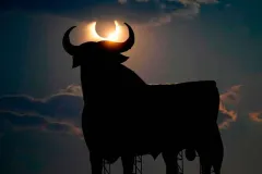 VIDEOS. El día se hizo noche: así se vivió el eclipse solar total de 2026