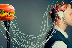 Ultraprocesados y cerebro: qué alimentos podrían afectar la memoria