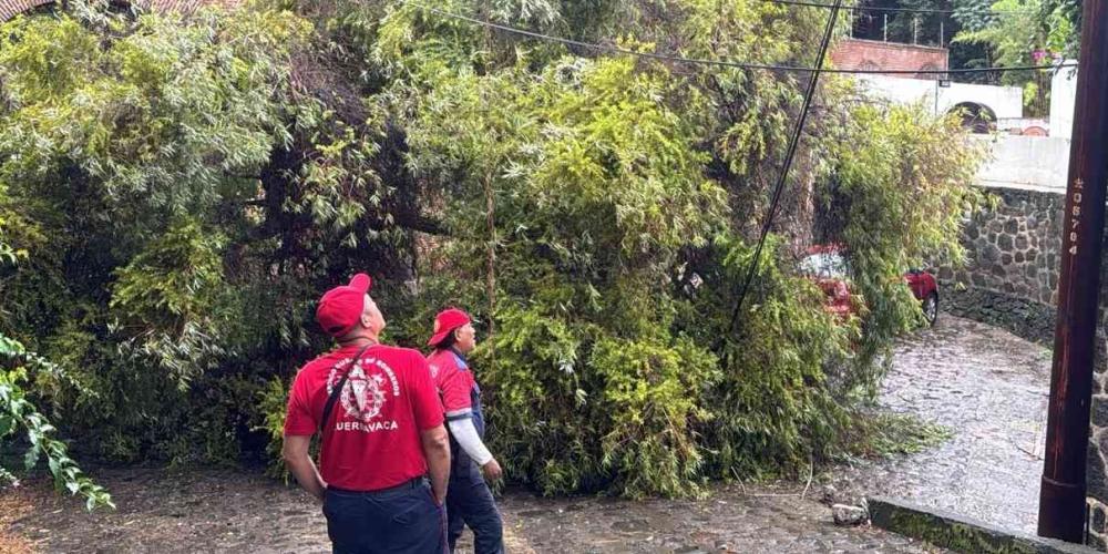 Inundaciones en Plan de Ayala, Las Granjas y Chula Vista