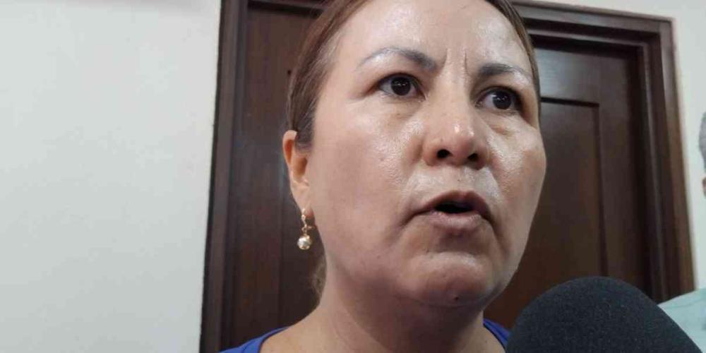 Denunciar las irregularidades, pide PAN a Margarita González Saravia