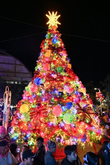 El alcalde de Cuautla realiza encendido de árbol navideño