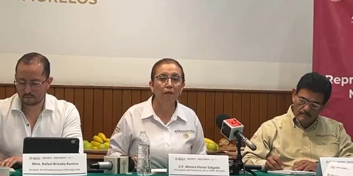 Ampliará Secretaría de Agricultura programa especial de energía para el campo