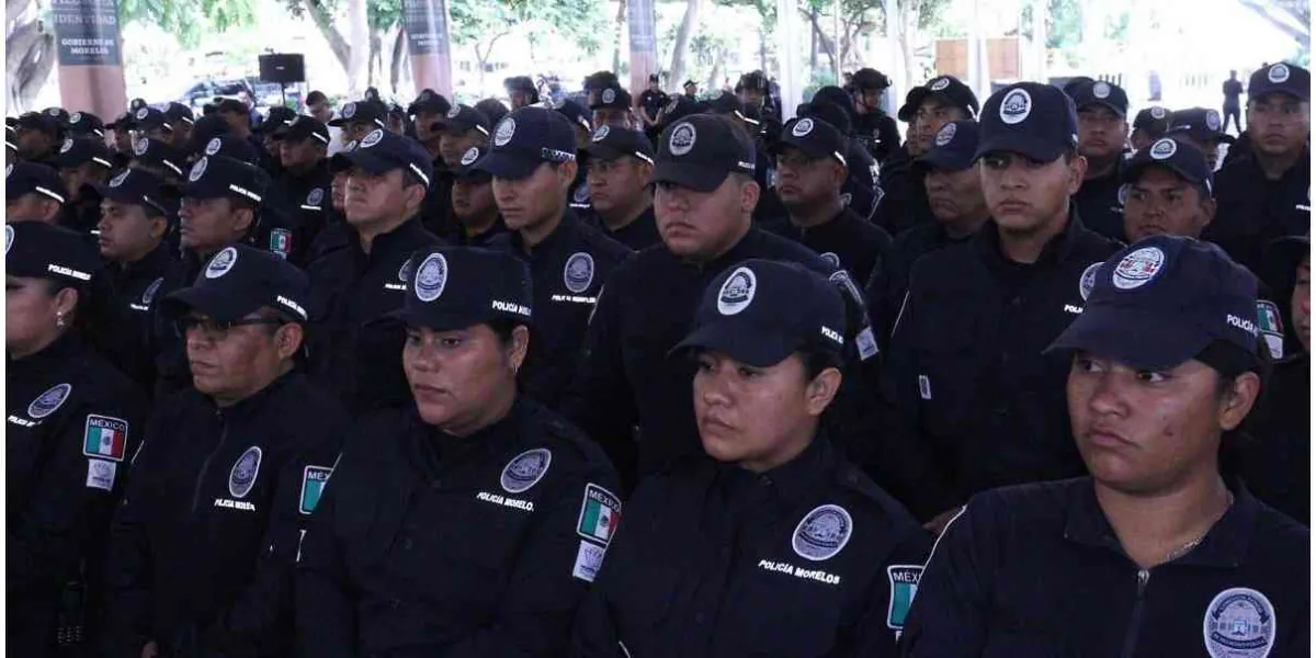 De seguridad a transportes 