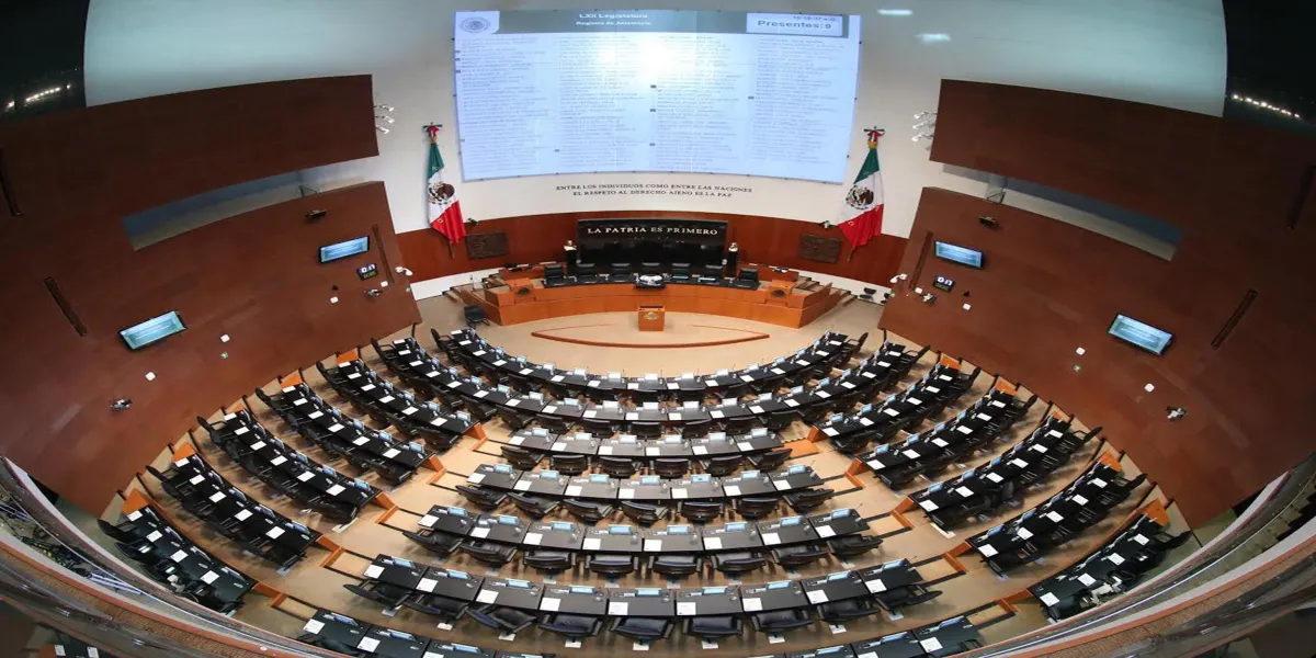 Nepotismo y reelección 