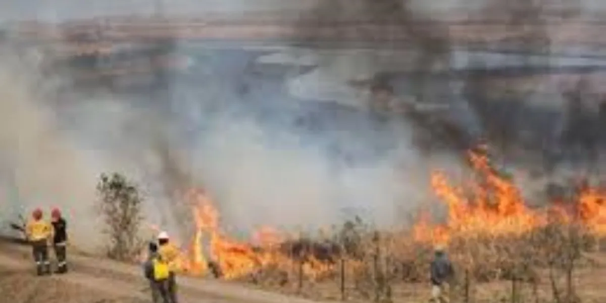 En Cuautla, incrementan incendios de pastizales por quemas agrícolas sin control: Bomberos