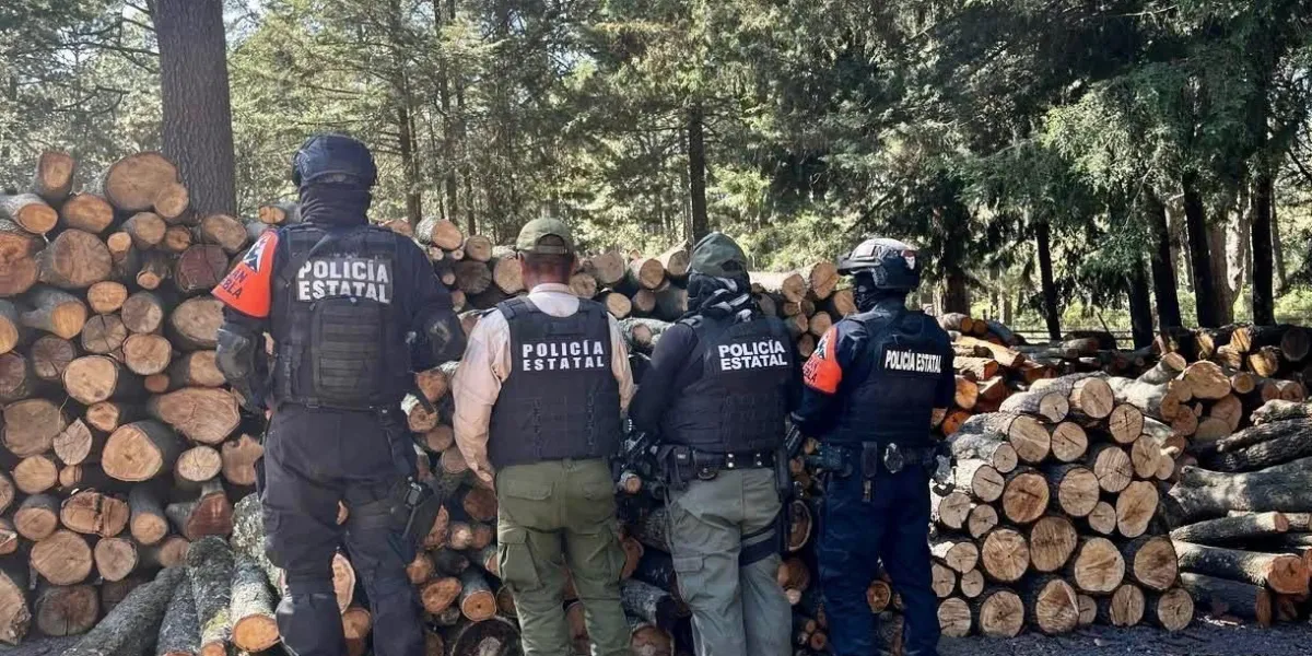 Decomisan 4 aserraderos clandestinos cercanos al Bosque de Agua