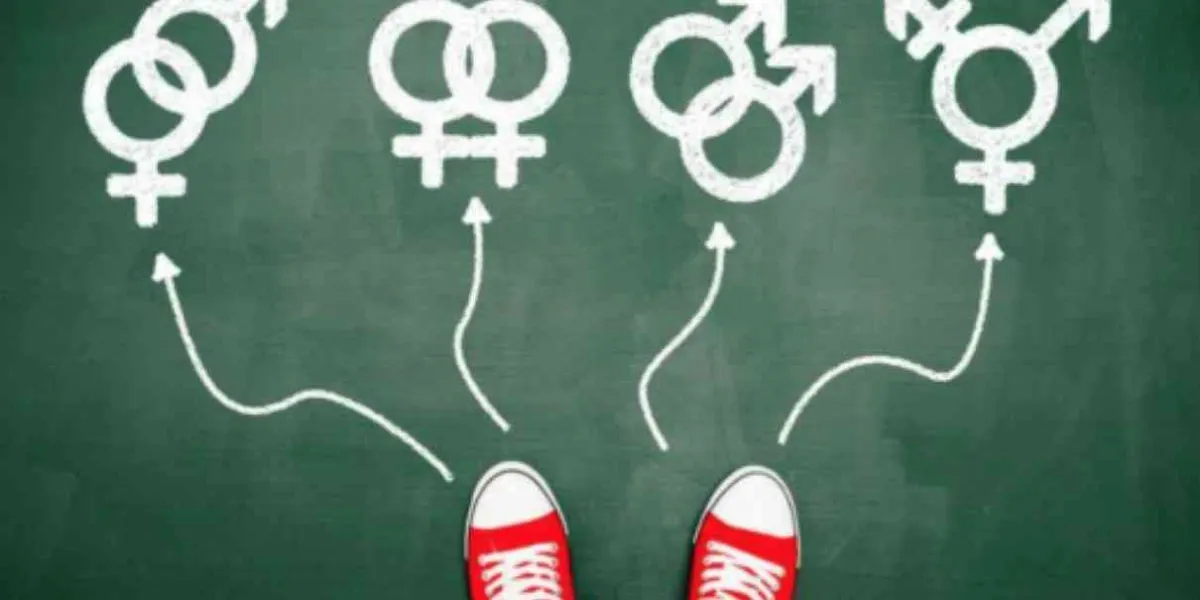 El género como ideología 