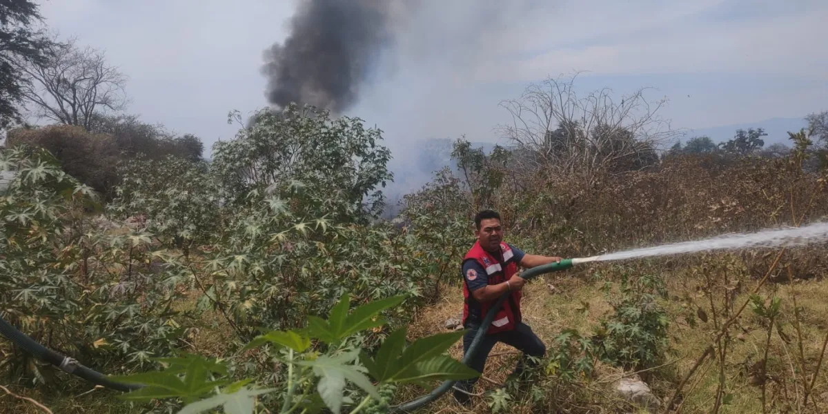 En Yautepec, atiende PC y Bomberos hasta 4 incendios diarios de pastizales 