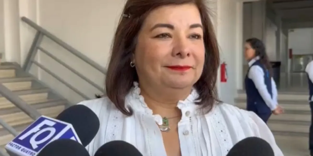 Meggie Salgado, Diputada Federal por Morena 