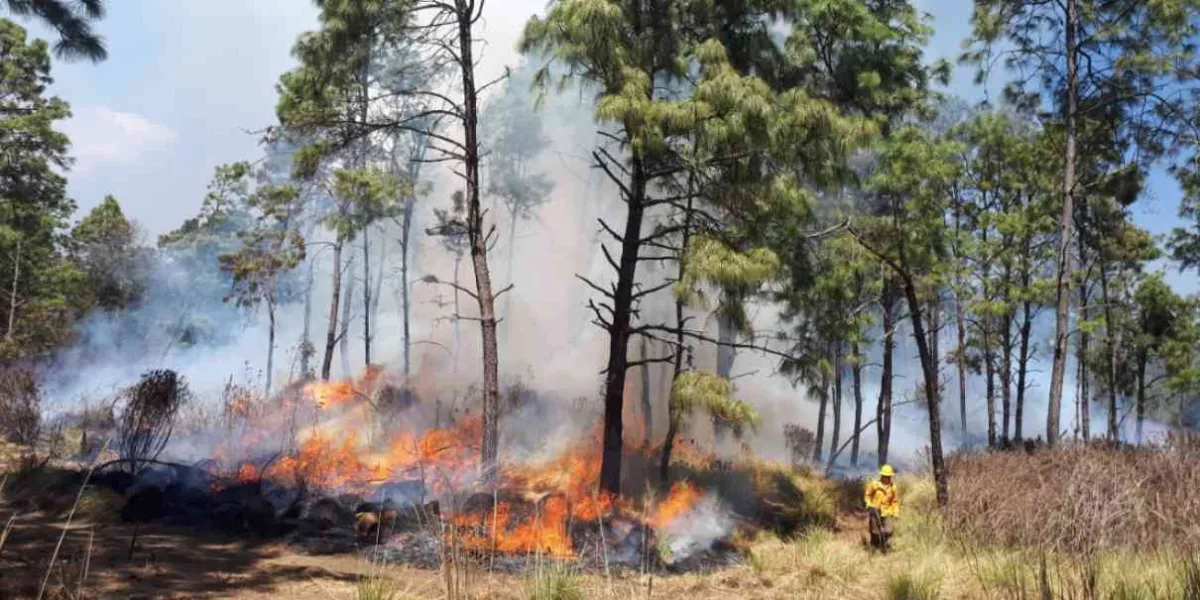 Alertan por crecimiento de incendios en Cuernavaca