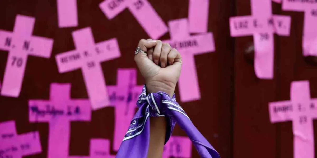 Marcha #8M: exhorta CDHM a respetar la libre manifestación