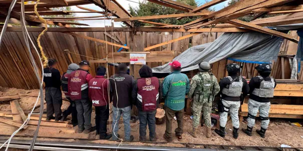 Profepa clausura y desmantela un aserradero en Huitzilac