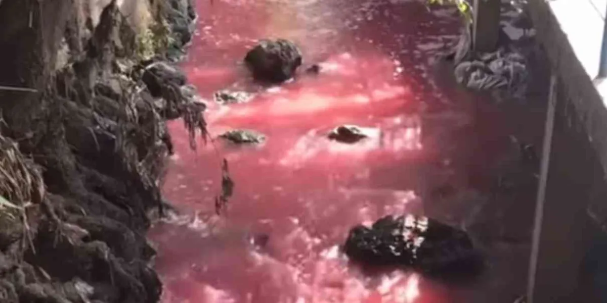 Reconoce SAPAC que empresas y hoteles contaminan las barrancas de Cuernavaca