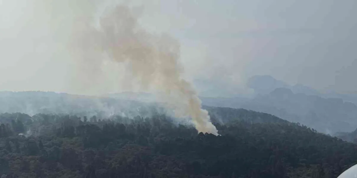 Persiste el fuego en Complejo Tepoztlán