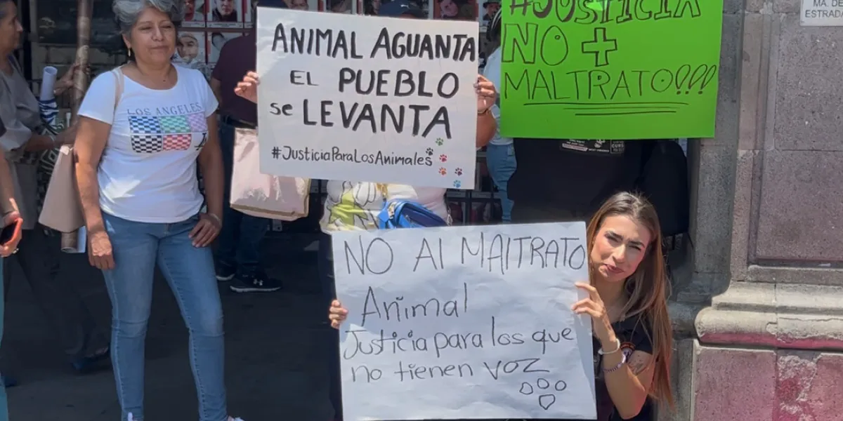 En las puertas del Palacio de Gobierno, los colectivos animalistas protestaron en exigencia de justicia por esta perrita que sufrió un deplorable ataque