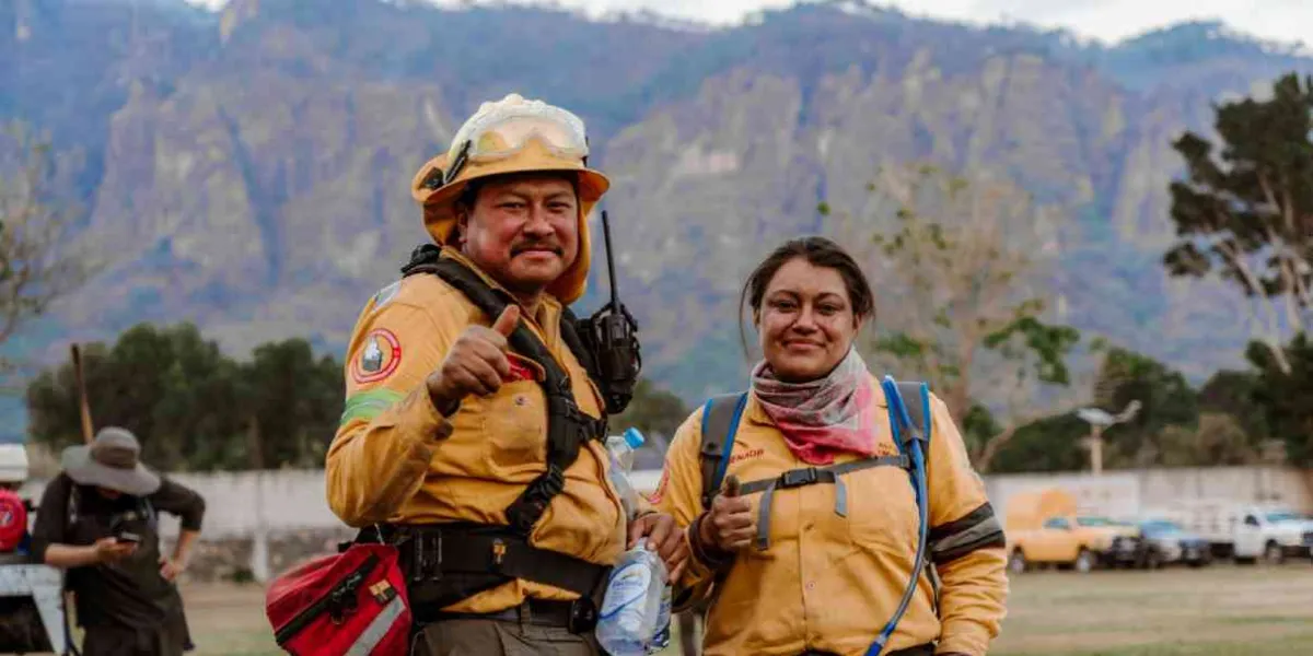 Los combatientes frente a la furia del fuego