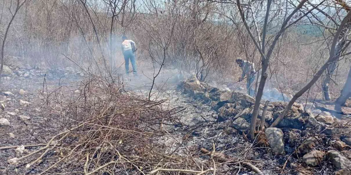 "Quema controlada", amenaza la Sierra de Montenegro en Tlaltizapán