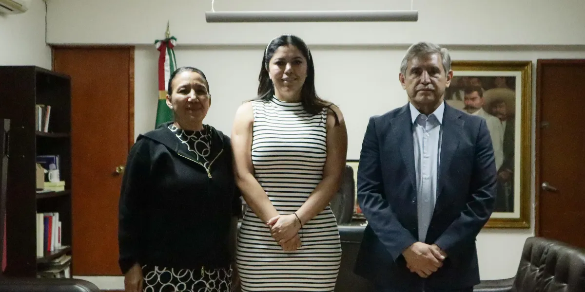 Nueva titular indem