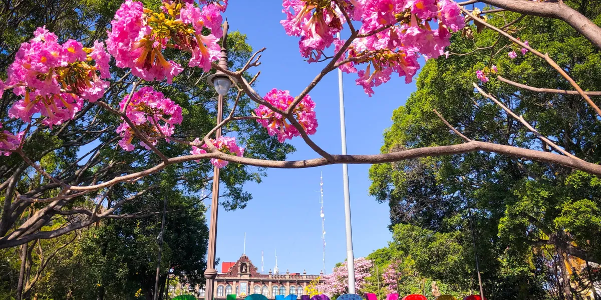 turismo Cuernavaca 