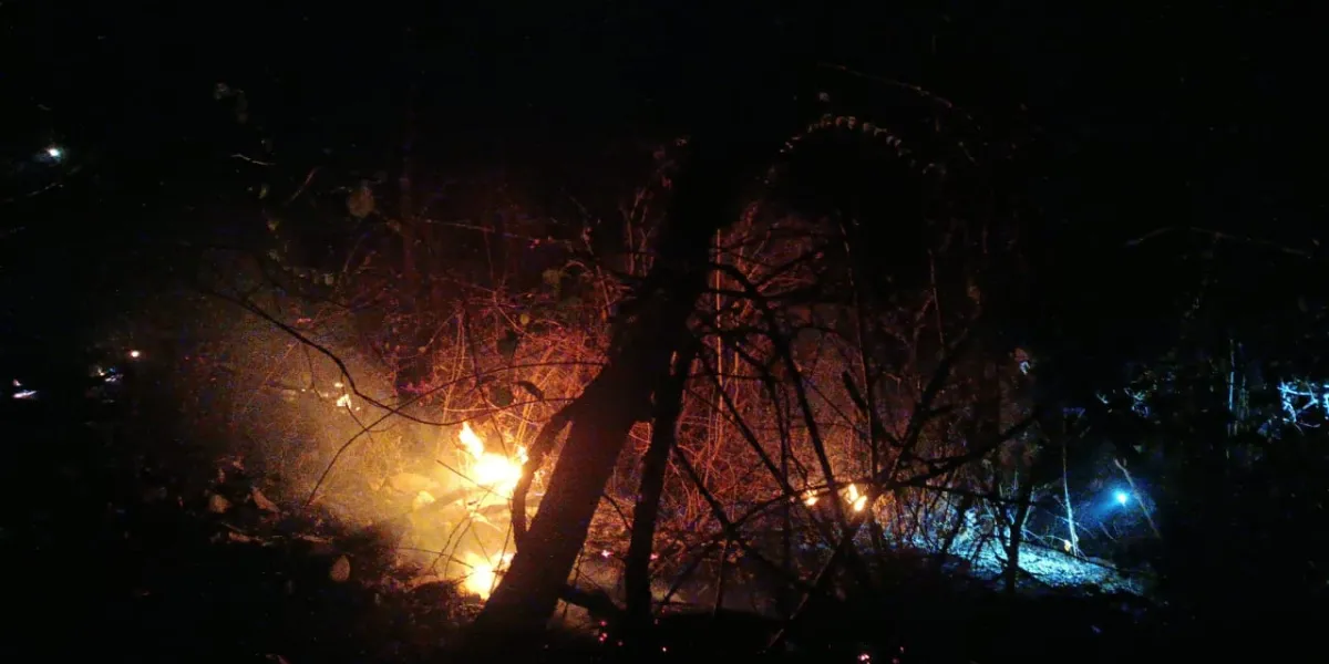 Tras 11 días de labores, logran sofocar incendio en el Cerro del Gallo, Tlaltizapán