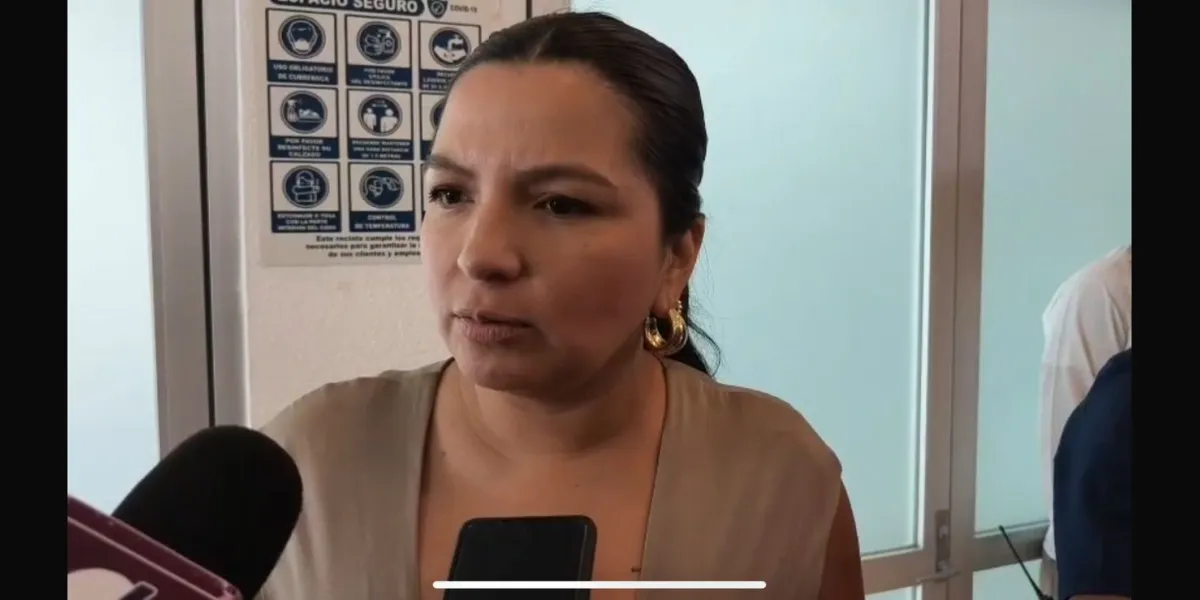 Hasta Mayo dictamen para la despenalización del aborto: Melissa Montes de Oca