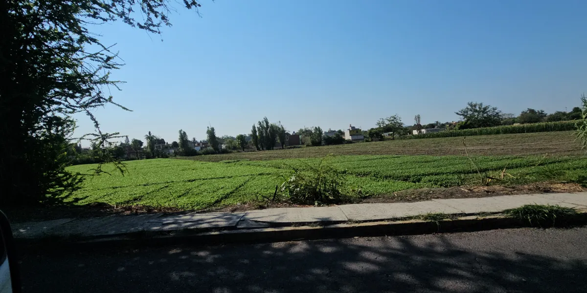 Preocupa a campesinos del oriente canícula pronosticada por la CONAGUA