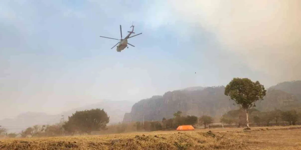 Usarán drones en los bosques de Tepoztlán