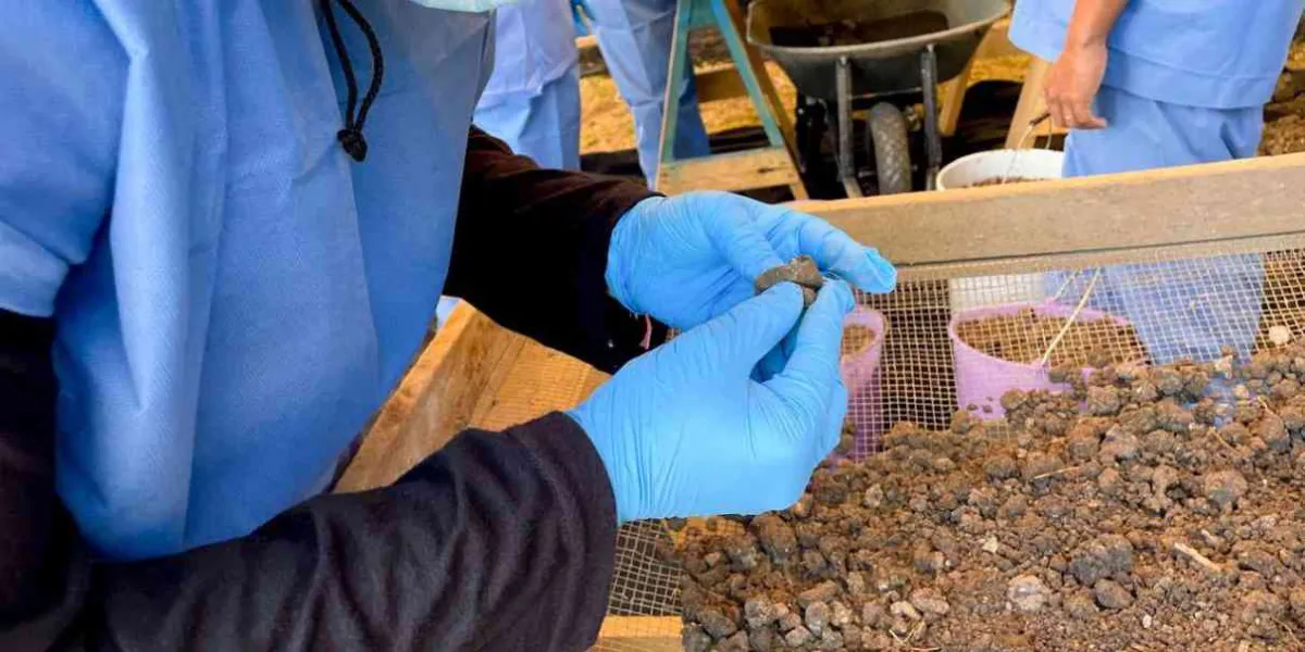 Reanudan exhumación en el panteón de Jojutla