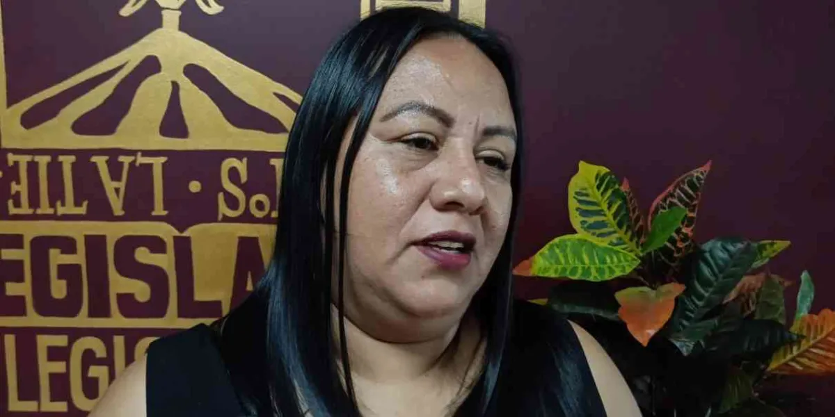 Llama Solano al TSJ a designar presidente