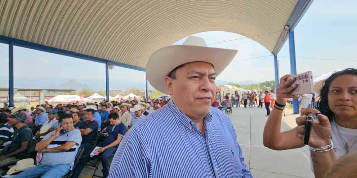 Extorsiones, principal causa de inseguridad en Tlayacapan: edil