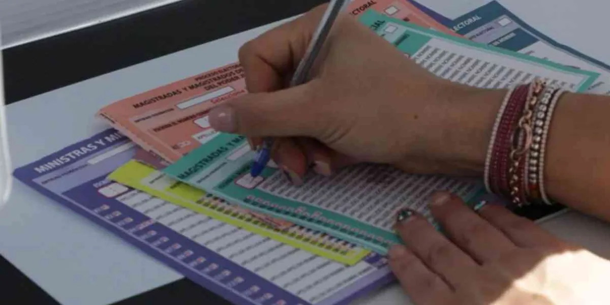 Seis boletas 