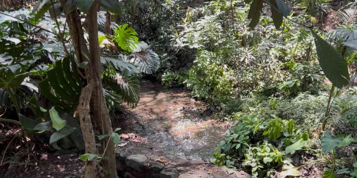 Más de 200 t de basura por semana sacan de barrancas de Cuernavaca