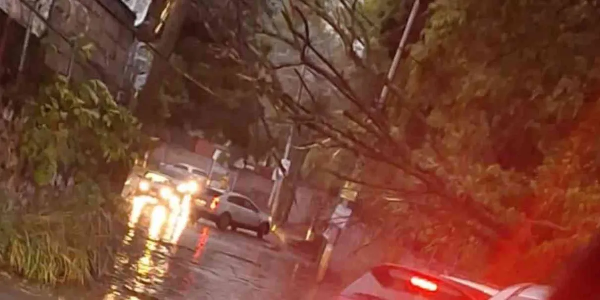 Intensa granizada en Cuernavaca dejó múltiples encharcamientos y caída de árboles en Jiutepec