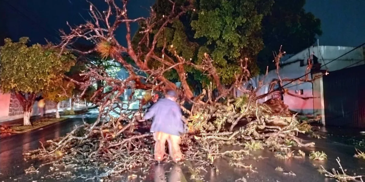 Inundaciones y árboles caídos, saldo de lluvia del domingo en Cuernavaca