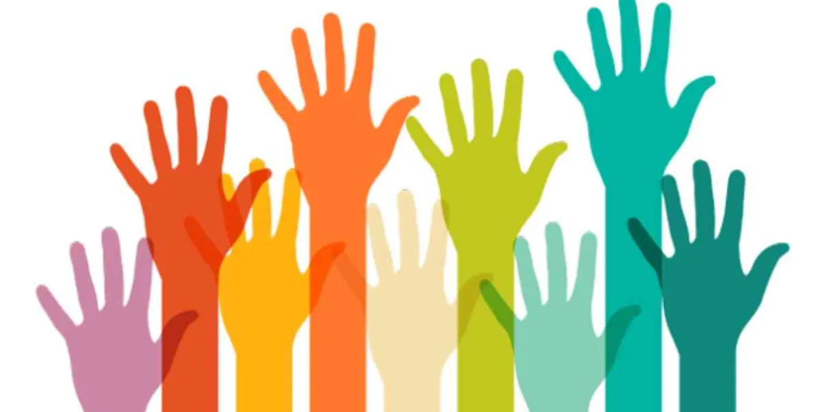 Participación ciudadana 