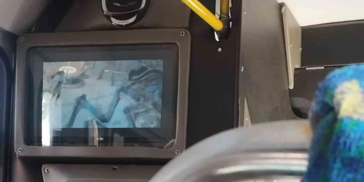 •	Surrealismo, excentricidades y desperfectos en transporte público