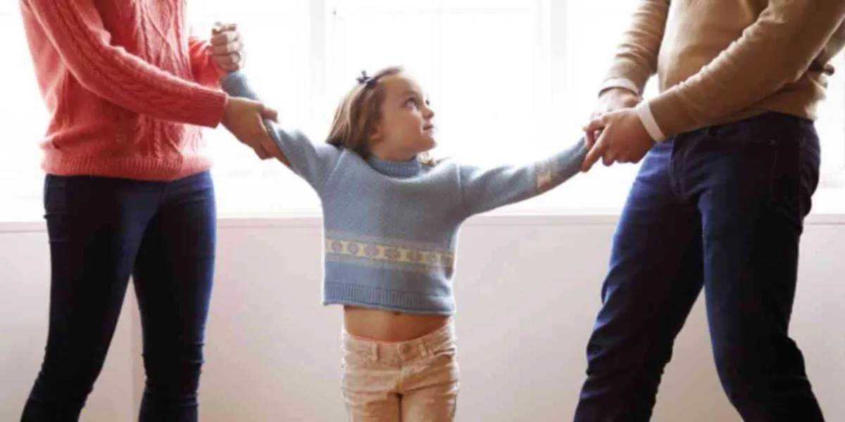 Convivencias, guarda y custodia de los hijos