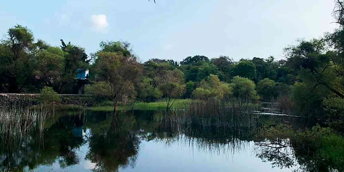 Santa Catarina y la defensa del Texcal.