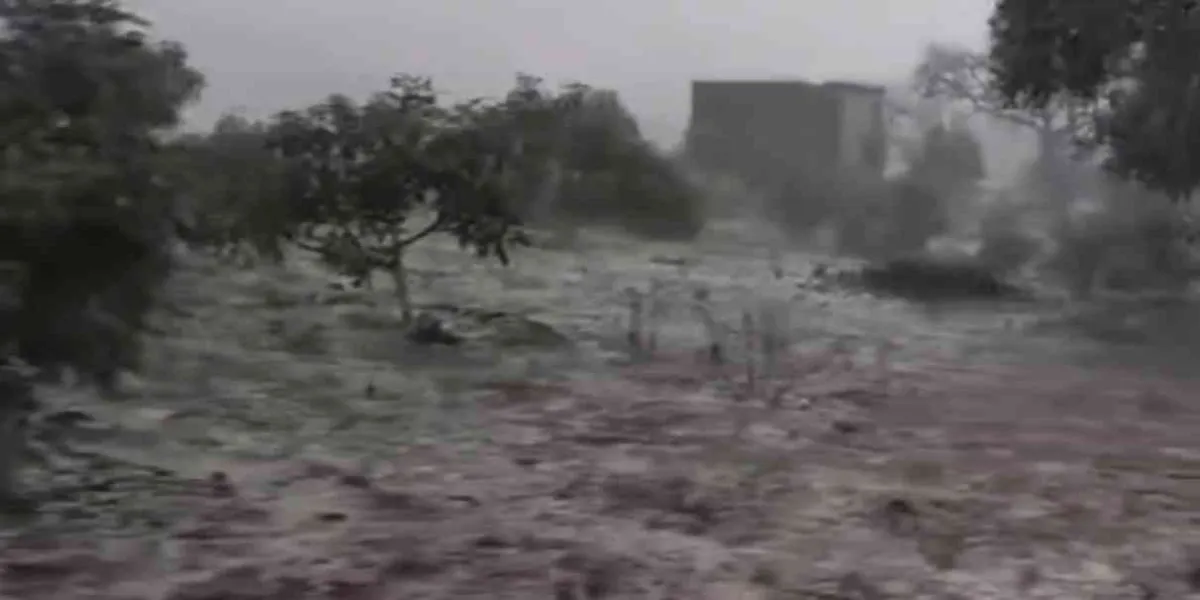 Granizada en los altos de Morelos afecta severamente campos de nopal y aguacate