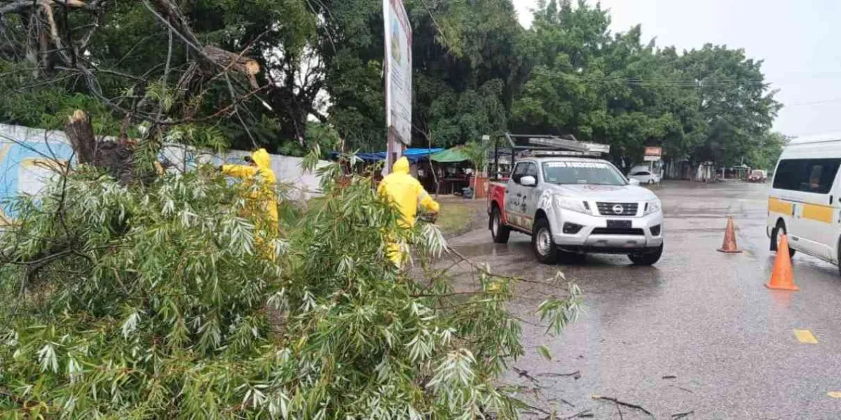 Tromba causa estragos en municipios de zona oriente